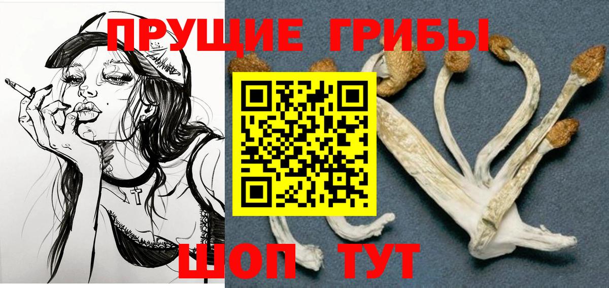 Псилоцибиновые грибы прущие грибы  Вход с VPN  Псилоцибиновые грибы мухоморы  как найти закладки  Кунгур 